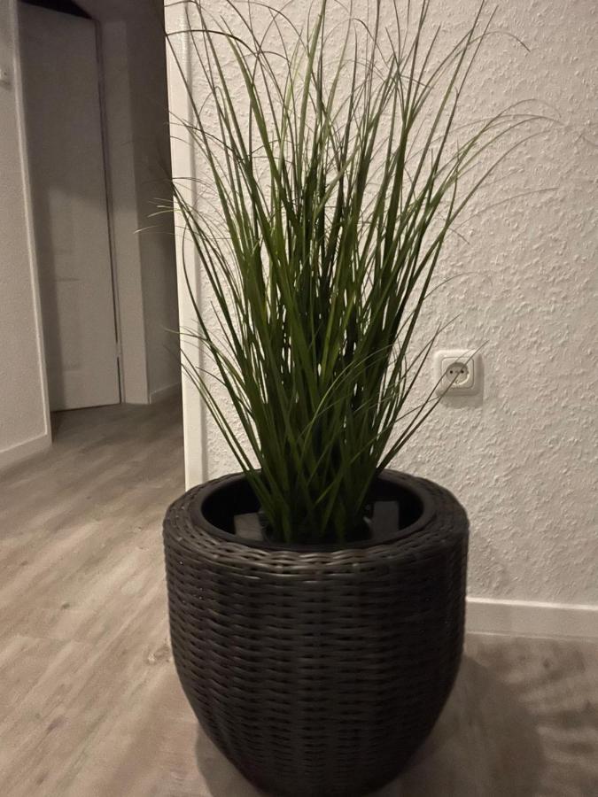 Apartmán Haus Mariechen Hooksiel Exteriér fotografie